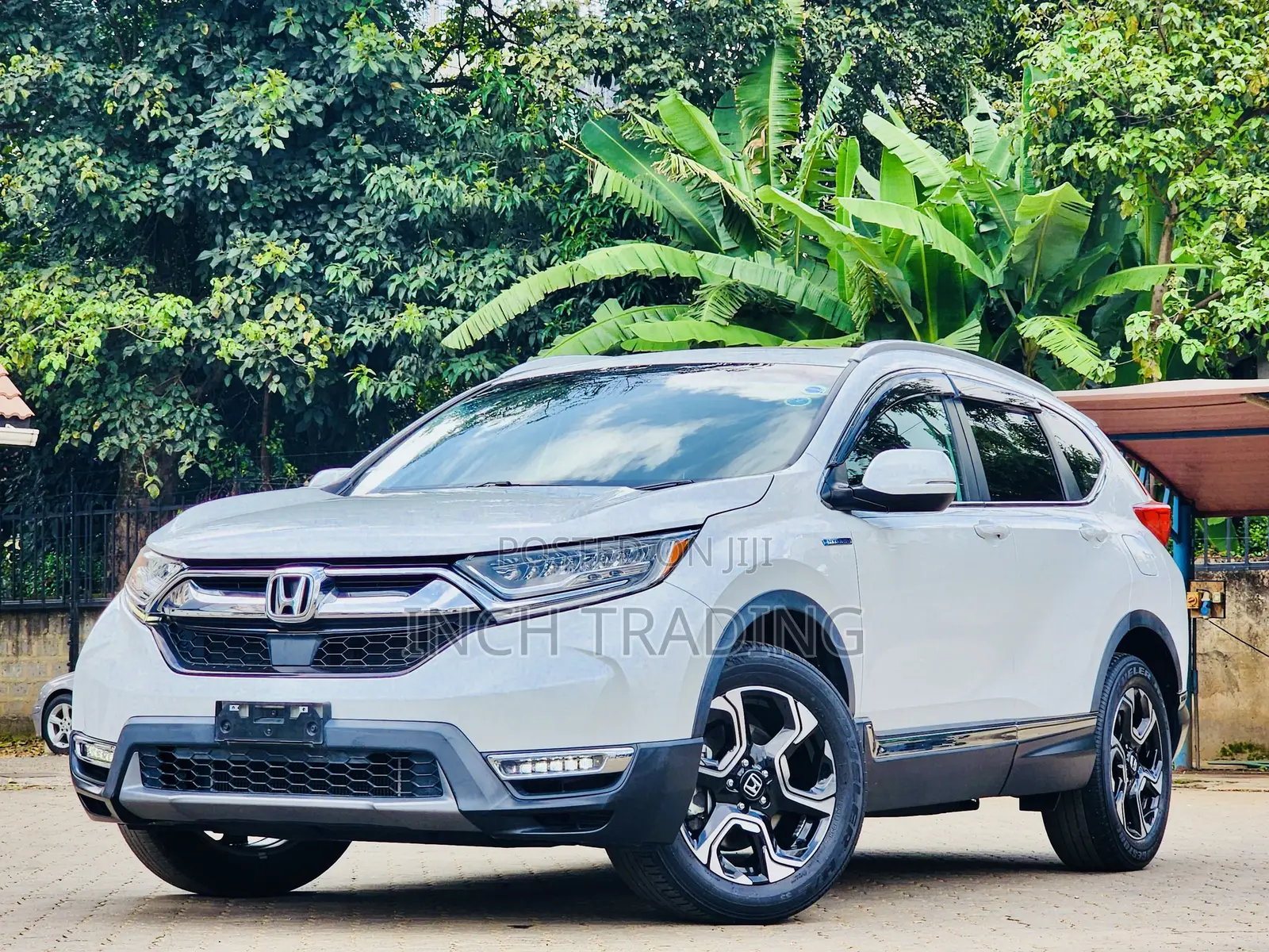 Honda CR-V EX AWD 2019 Pearl