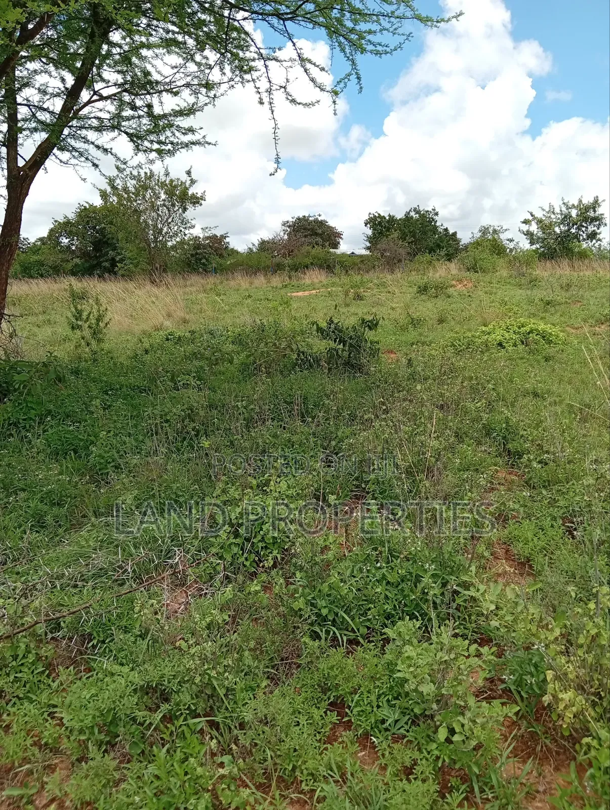 Budget-Friendly Plots for Sale in Matuu