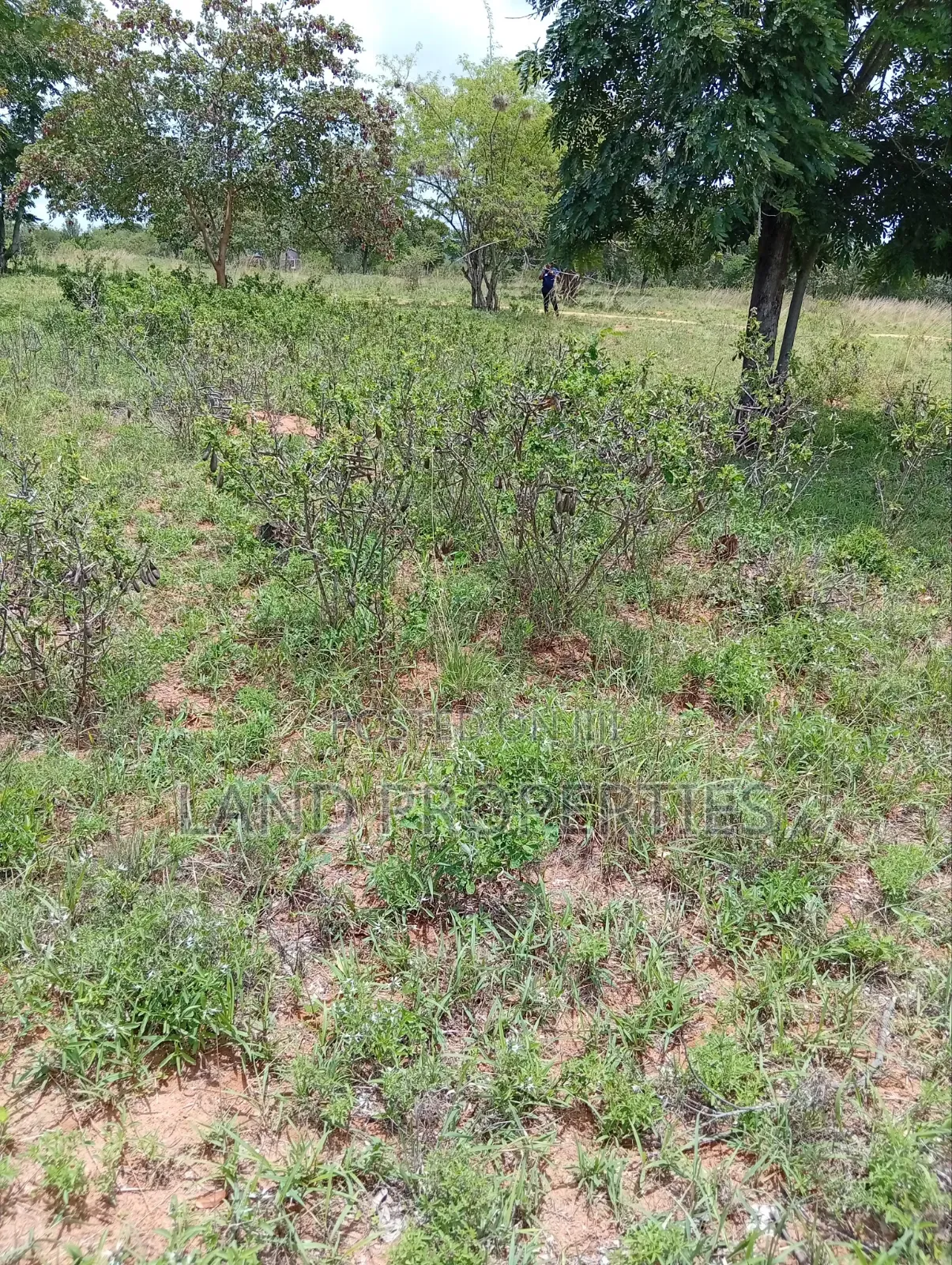 Residential Plots for Sale in Matuu
