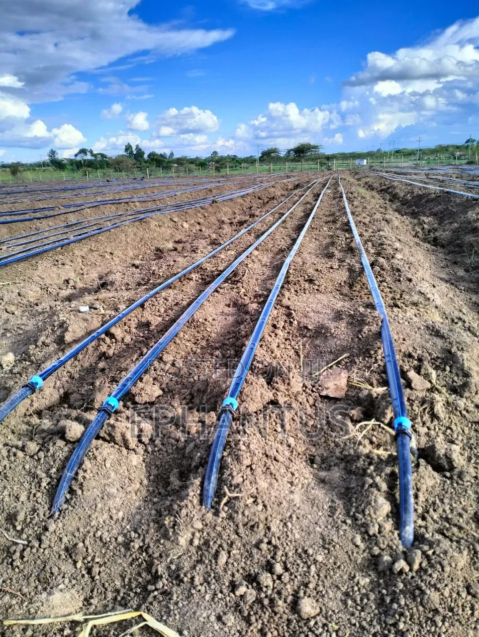 A Developed Farm for Sale