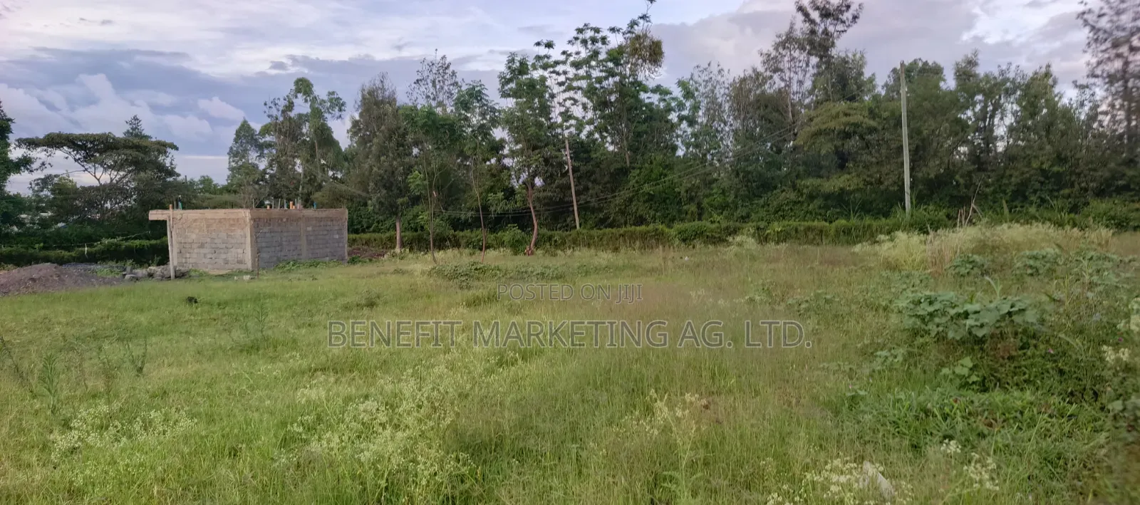 Quarter Acre Plot for Sale in Rongai Kwa Muthaura