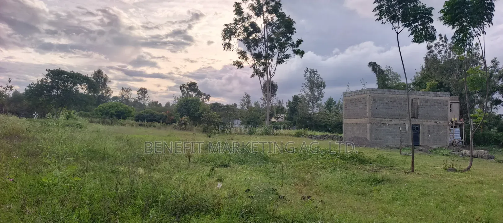 Quarter Acre Plot for Sale in Rongai Kwa Muthaura