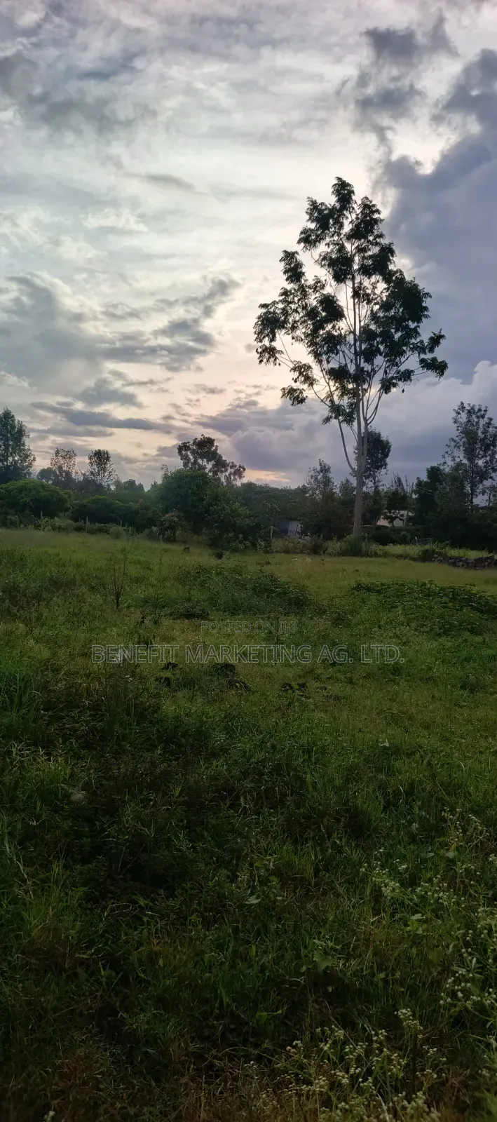 Quarter Acre Plot for Sale in Rongai Kwa Muthaura