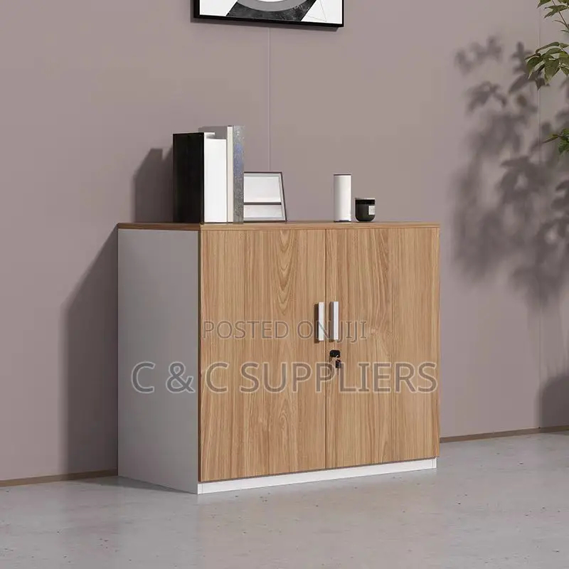 Office Cabinets: Lockable Storage Cabinet With Shelves