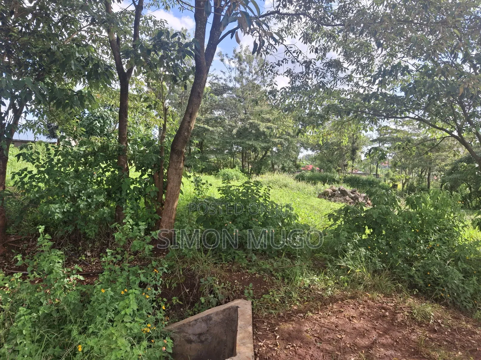 Kiahuria Prime Commercial 1/4 Ac on Tarmac Corner Plot