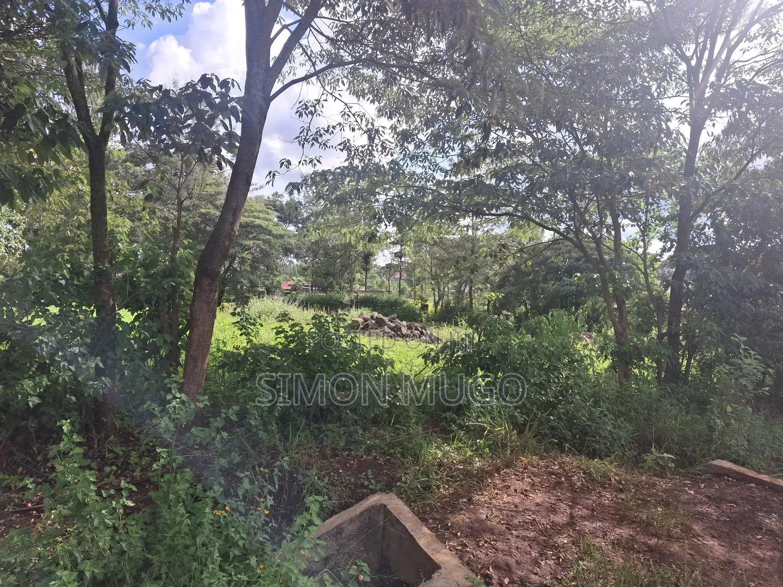 Kiahuria Prime Commercial 1/4 Ac on Tarmac Corner Plot