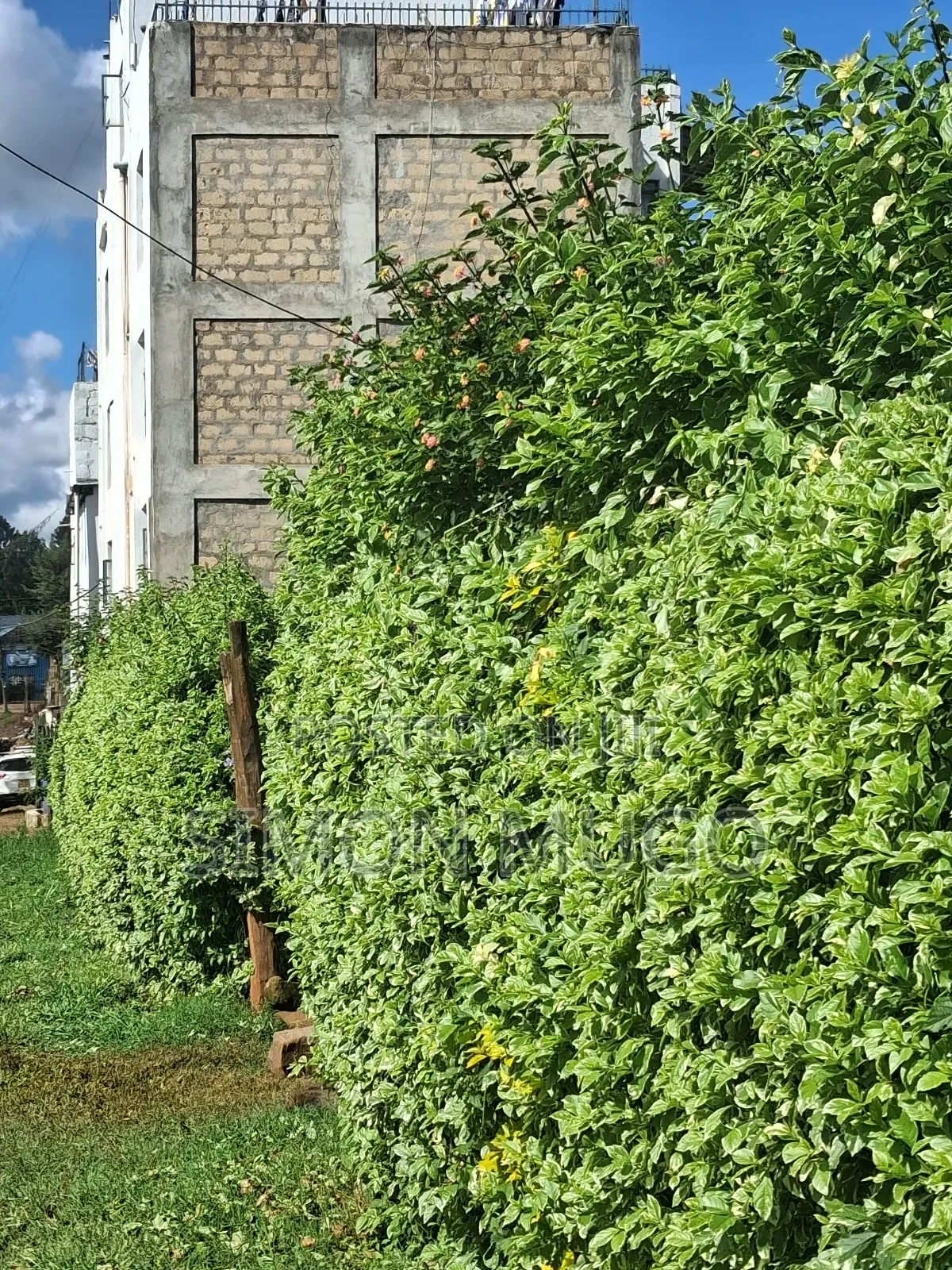 Ruaka 2 Adjoined 1/4 AC Freehold Title Ideal for Apartments