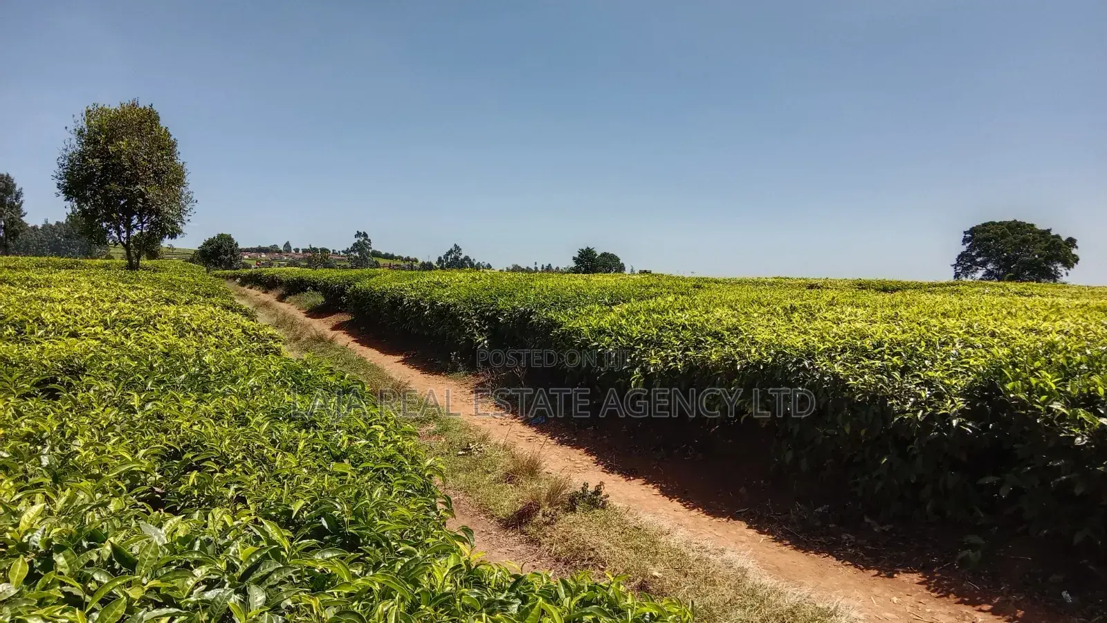 30 Acres for Sale Riara Ridge