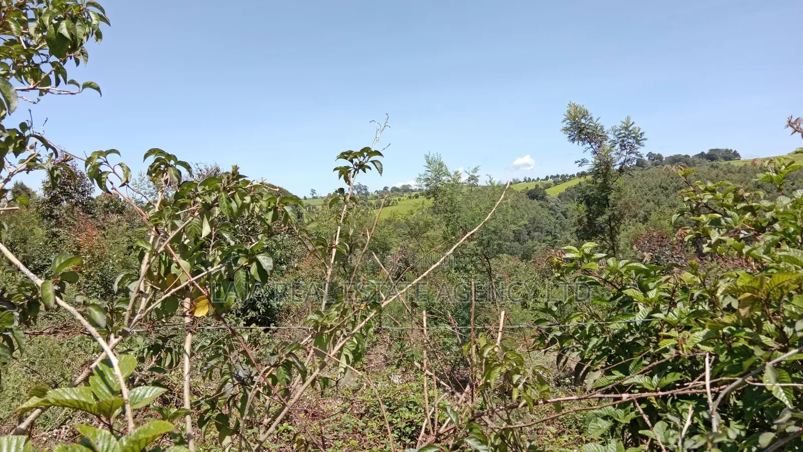 30 Acres for Sale Riara Ridge