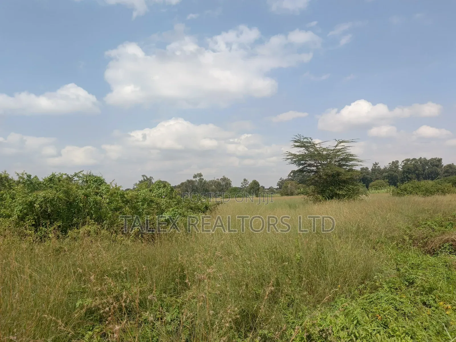 Not Just Land. The Last 73 Acres of Karen’S Sacred Silence.