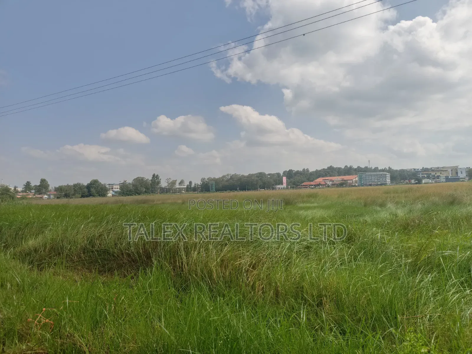 Not Just Land. The Last 73 Acres of Karen’S Sacred Silence.
