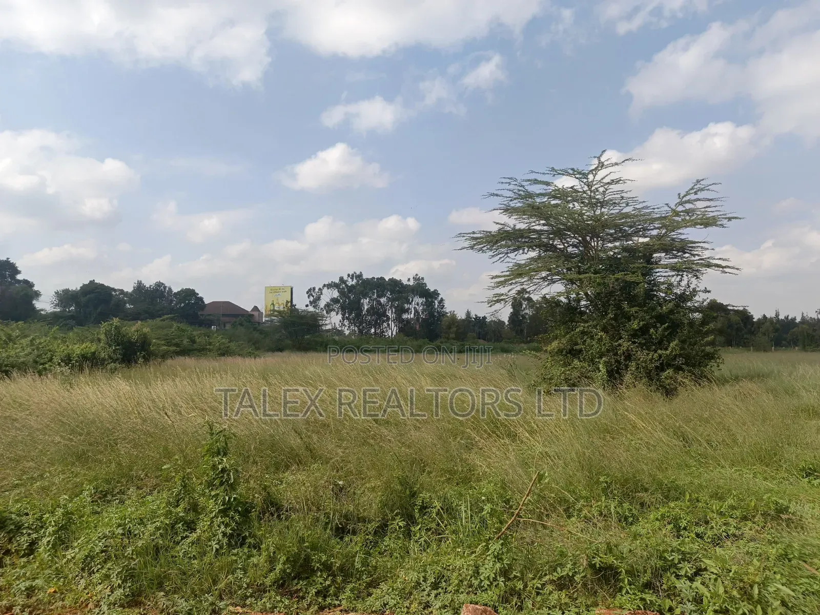 Not Just Land. The Last 73 Acres of Karen’S Sacred Silence.