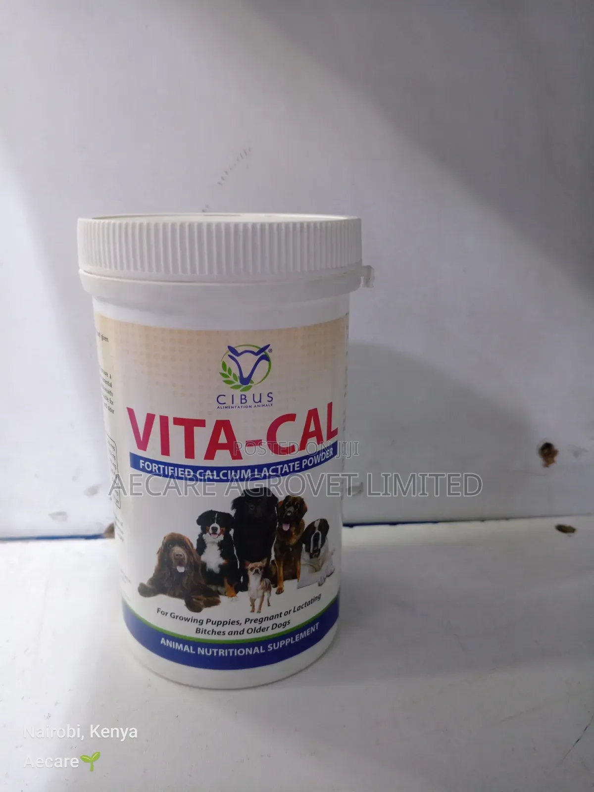 Vita-cal Fortified Calcium Lactate Powder 200gram