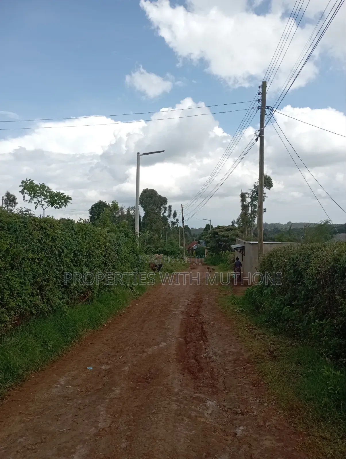 50×100 Plots for Sale at Kwa Mindo, Kikuyu