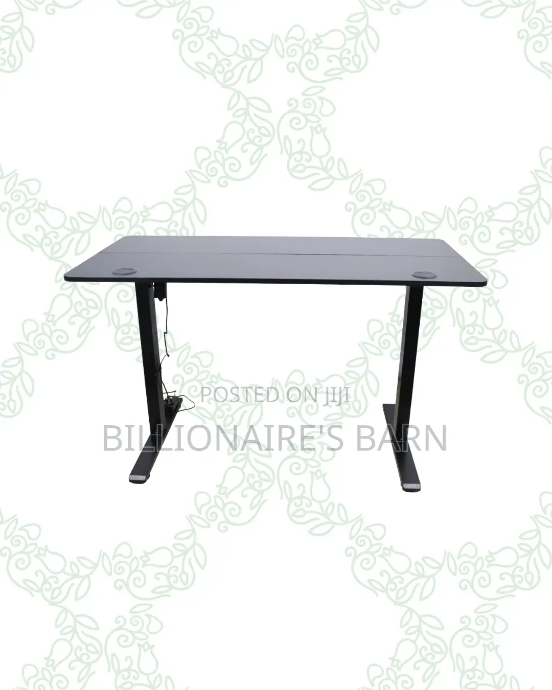 Transform Productivity -Standing Desk Clean Cable-Friendly Workspace
