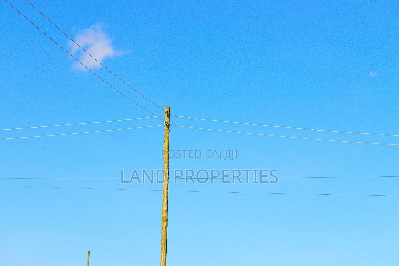Urgent Sale on Land