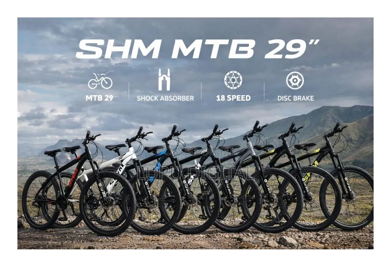 Size 29 Bicycle