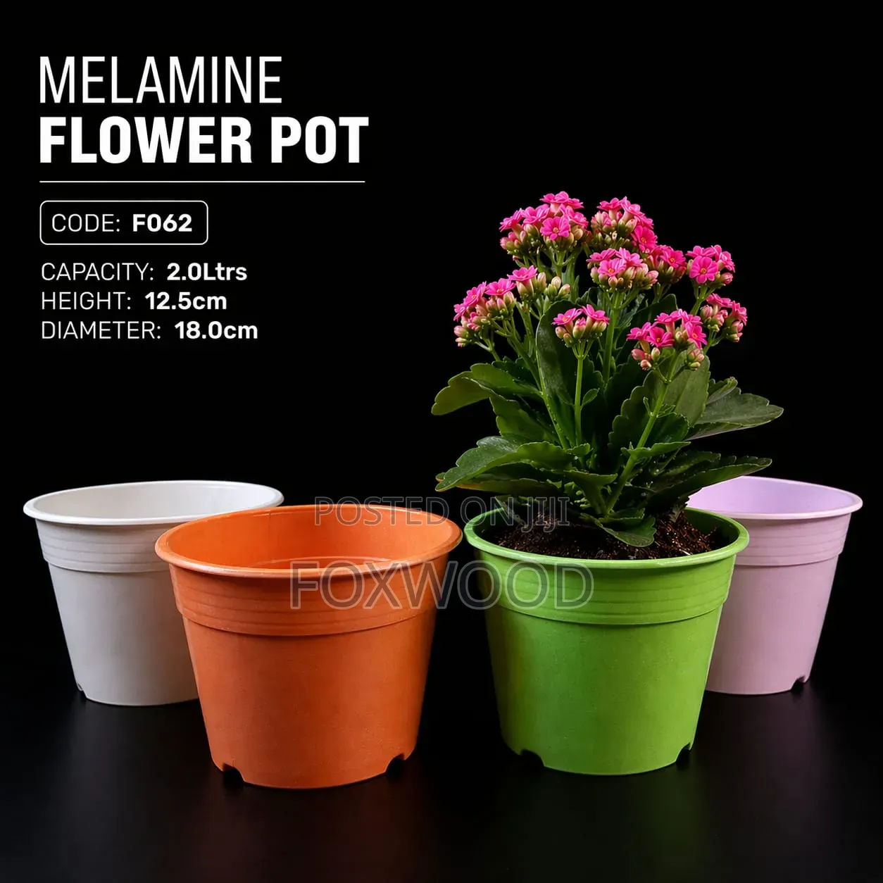 Crown Flower Pot / Planter With Plate