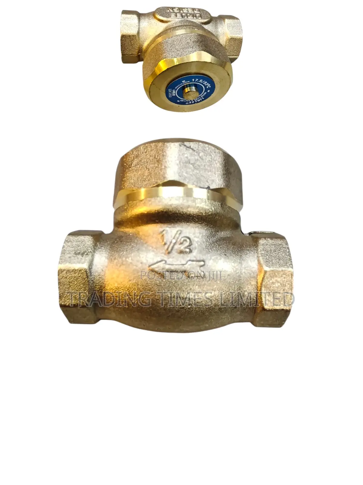 1/2 Inch Lirlee Non Return Valve