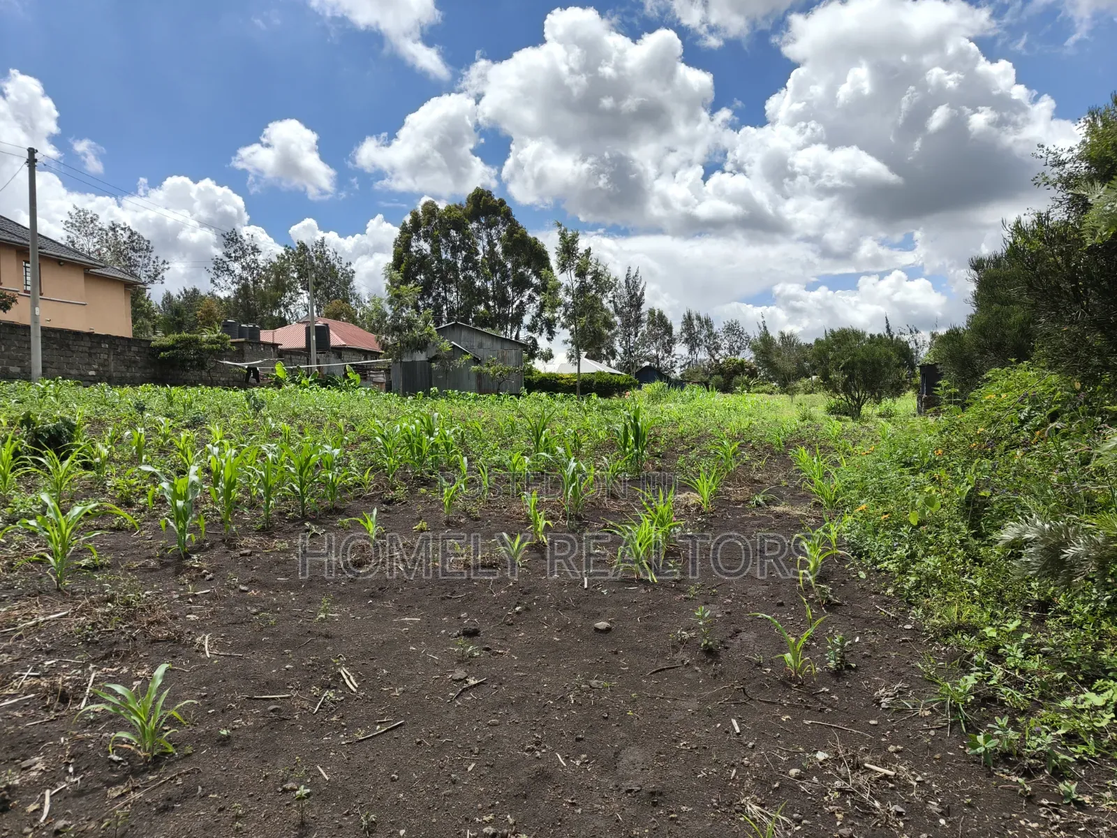 Residential Quarter Acre Corner Plot for Sale in Ngong, Olkeri