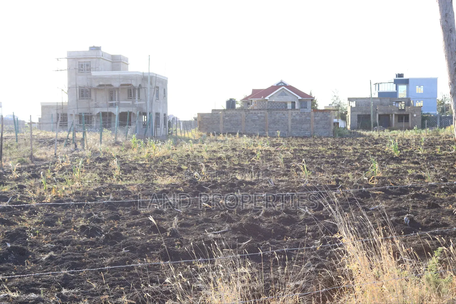 Limited Offer on Plots for Sale