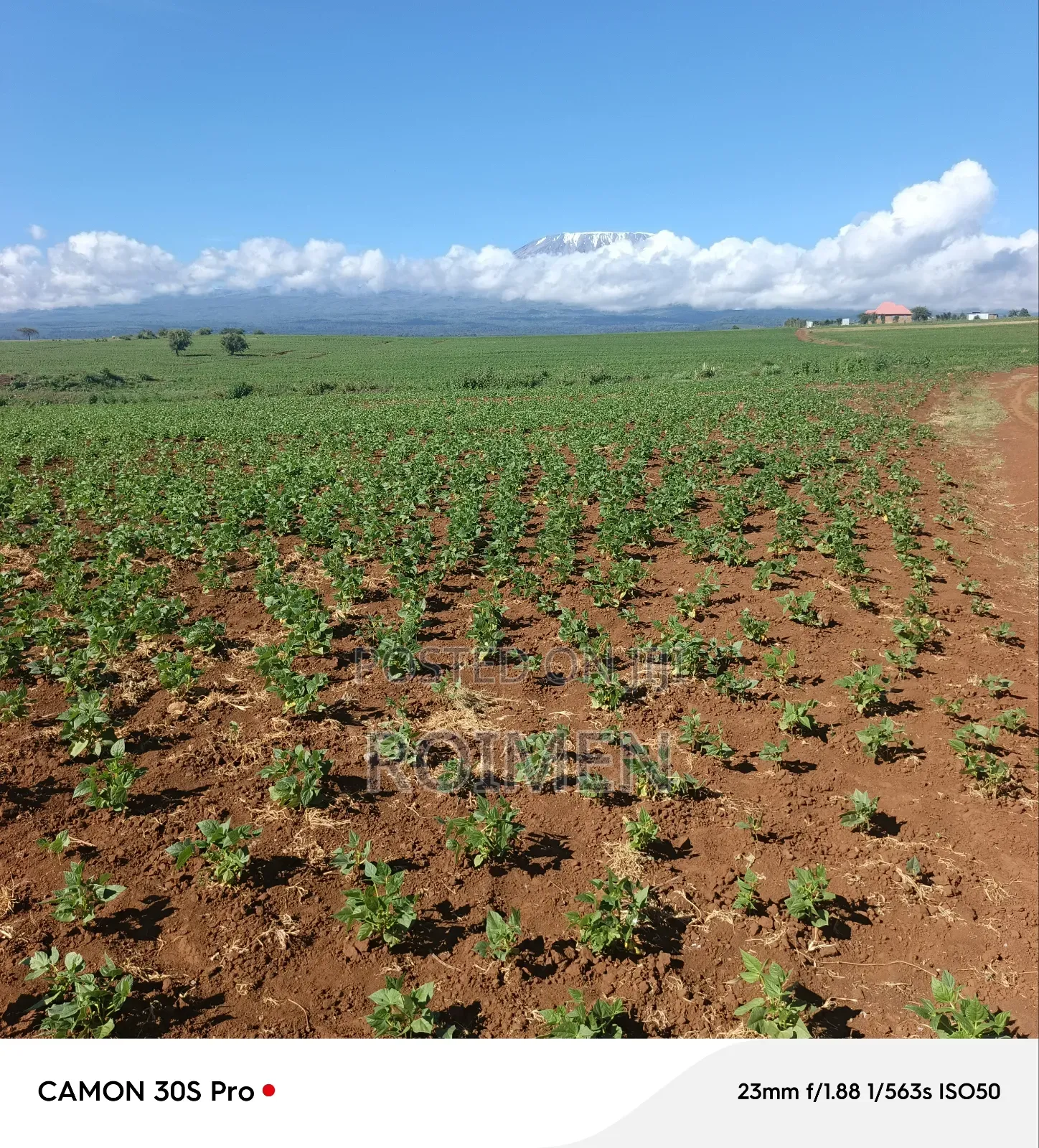 5 Acres Land for Sale