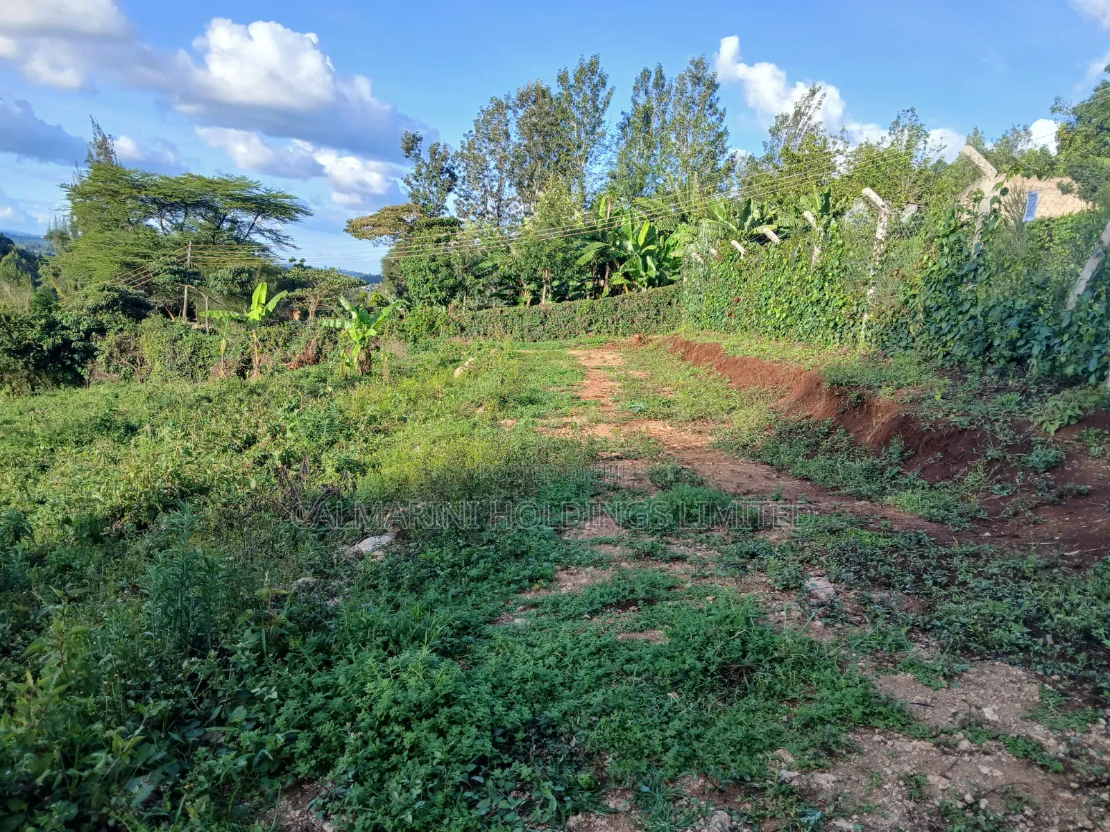 Distress! Very Prime 100 by 100 Plot in a Gated Estate, Matasia,Ngong
