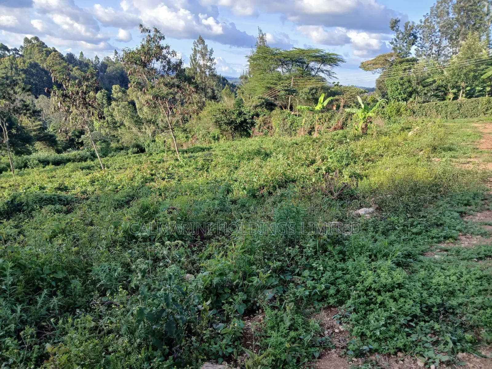 Distress! Very Prime 100 by 100 Plot in a Gated Estate, Matasia,Ngong