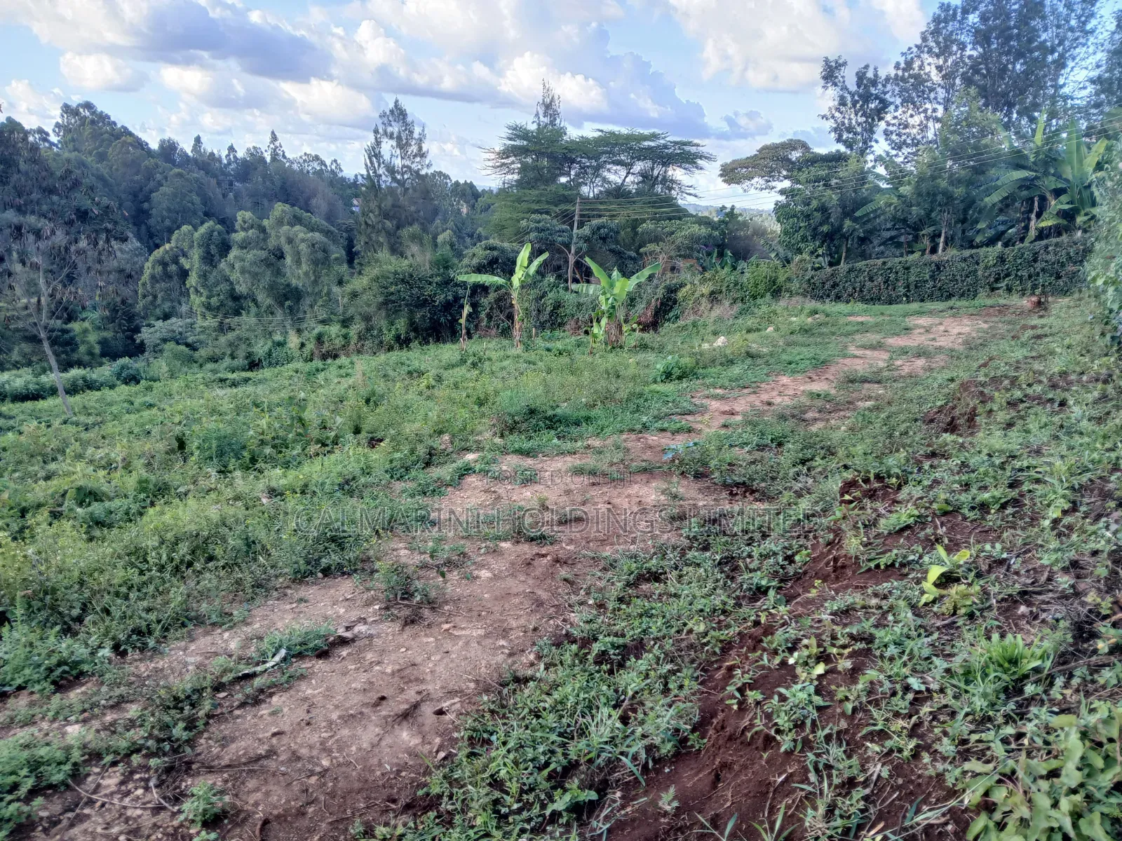 Distress! Very Prime 100 by 100 Plot in a Gated Estate, Matasia,Ngong