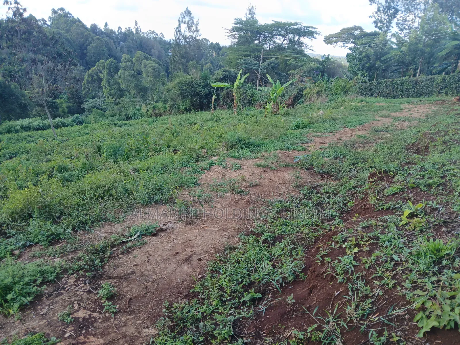 Distress! Very Prime 100 by 100 Plot in a Gated Estate, Matasia,Ngong