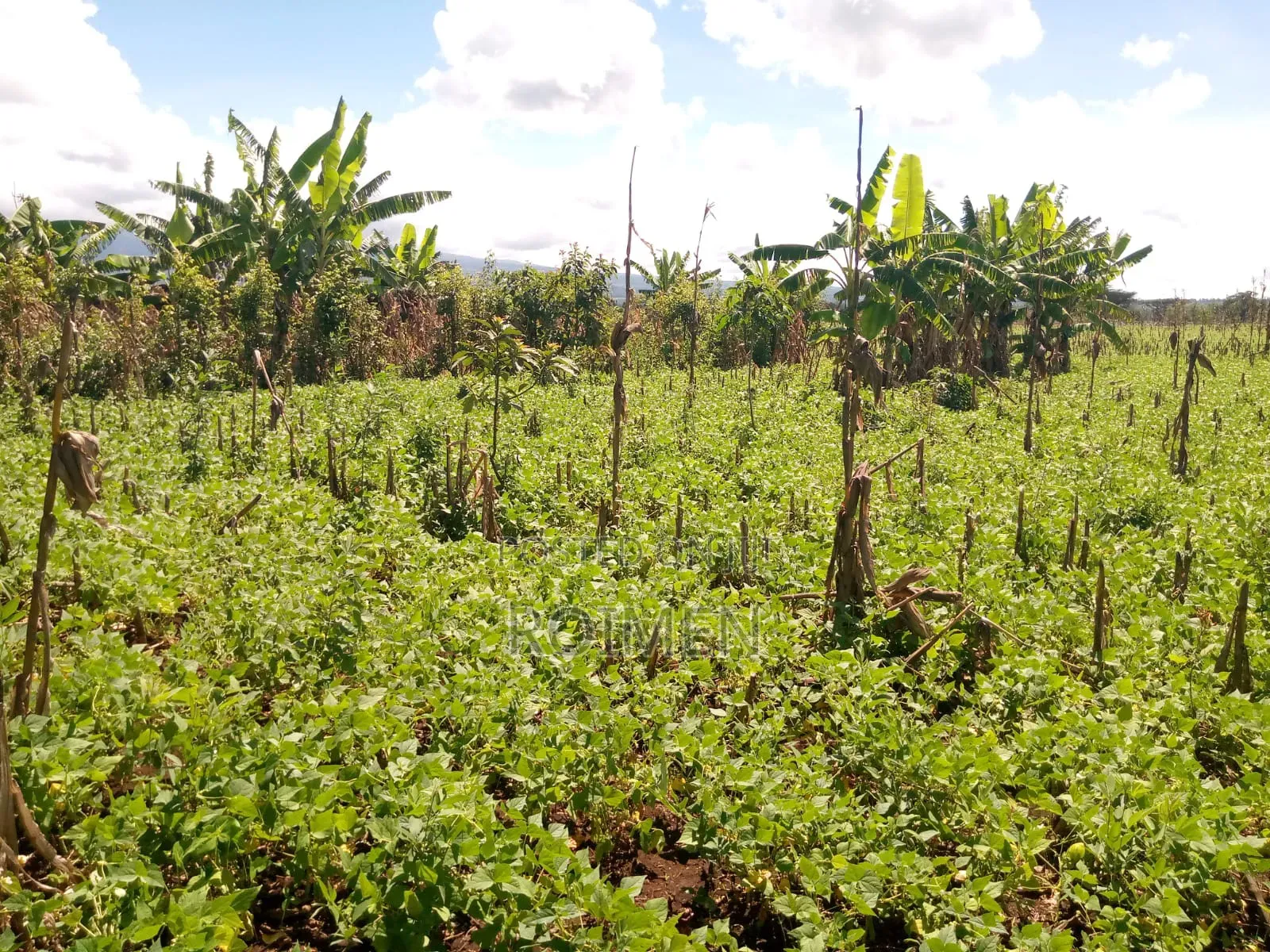 10 Acres Land for Sale