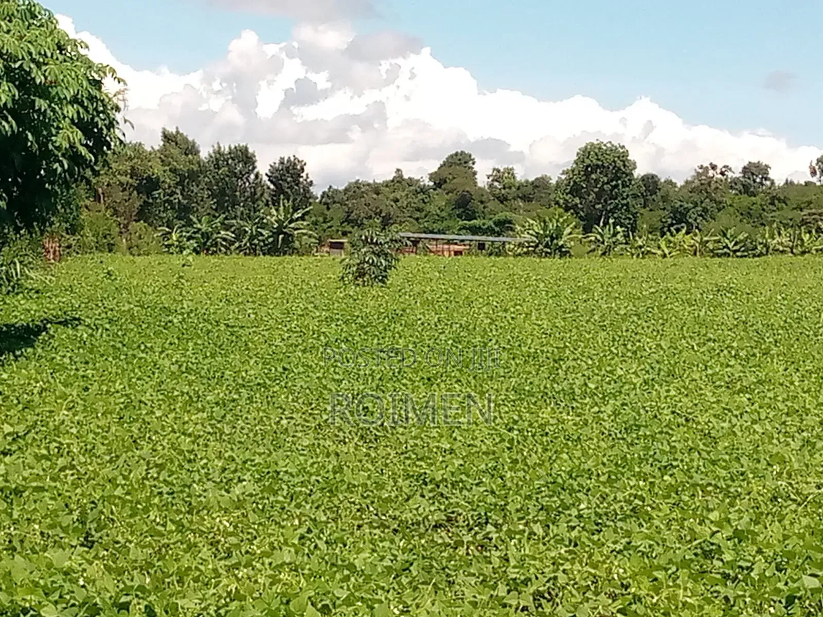 10 Acres Land for Sale
