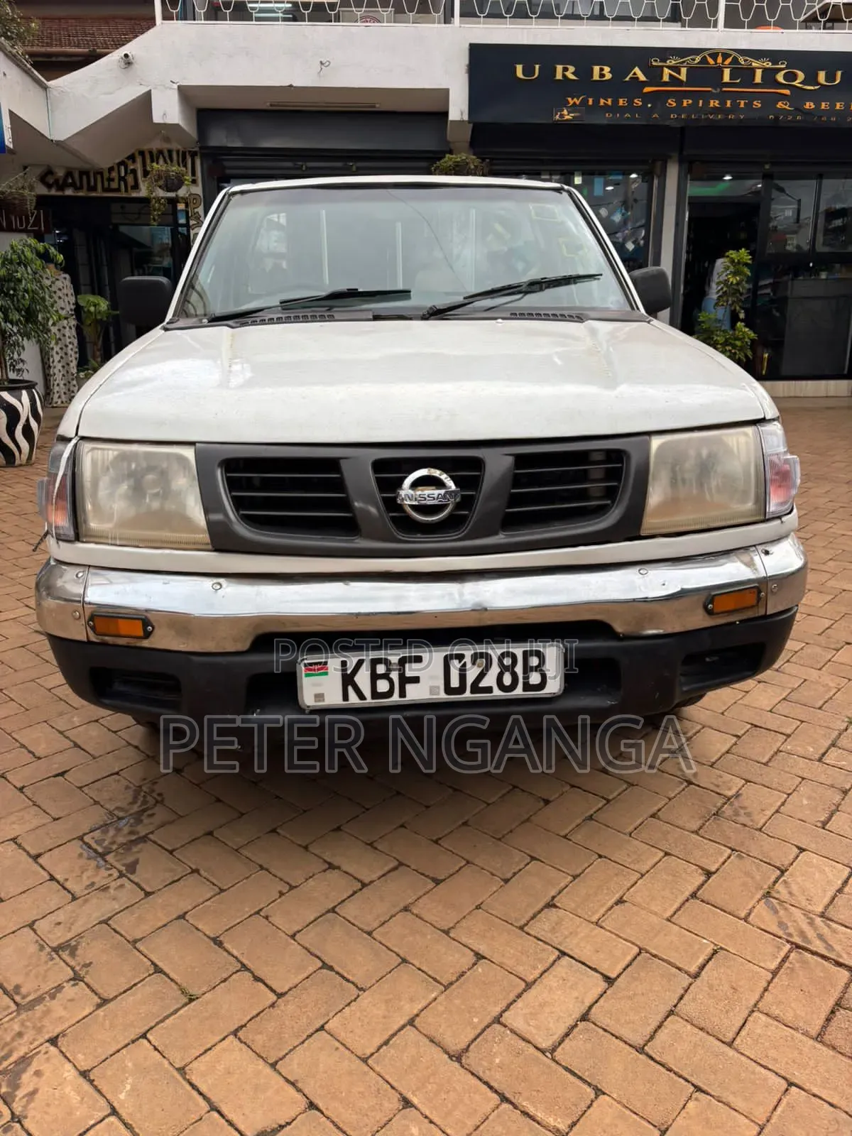 Nissan Hardbody 2002 White