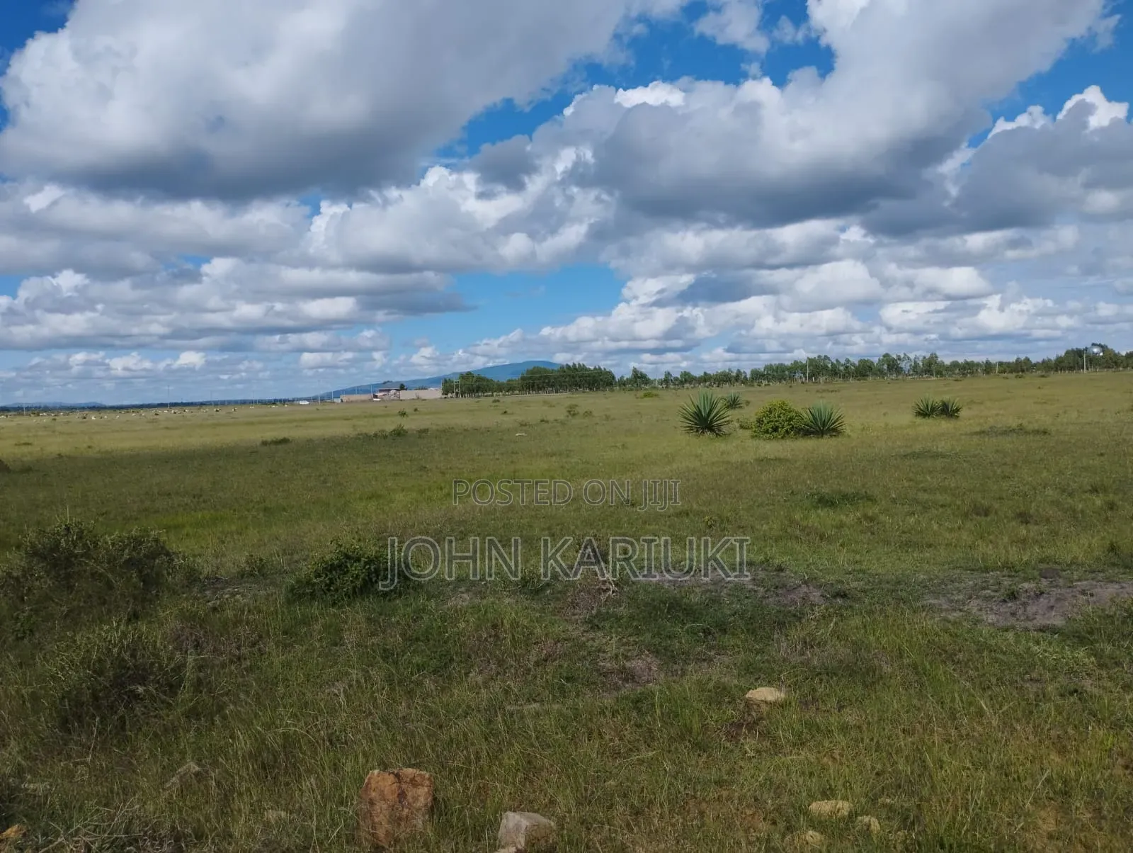 100 Acres Prime Land in Juja-Kiambu
