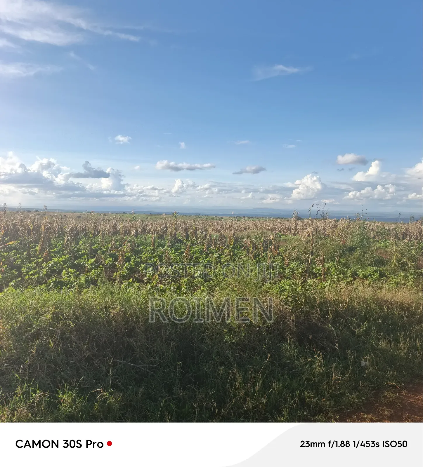 3 Acres of Land Available for Sale