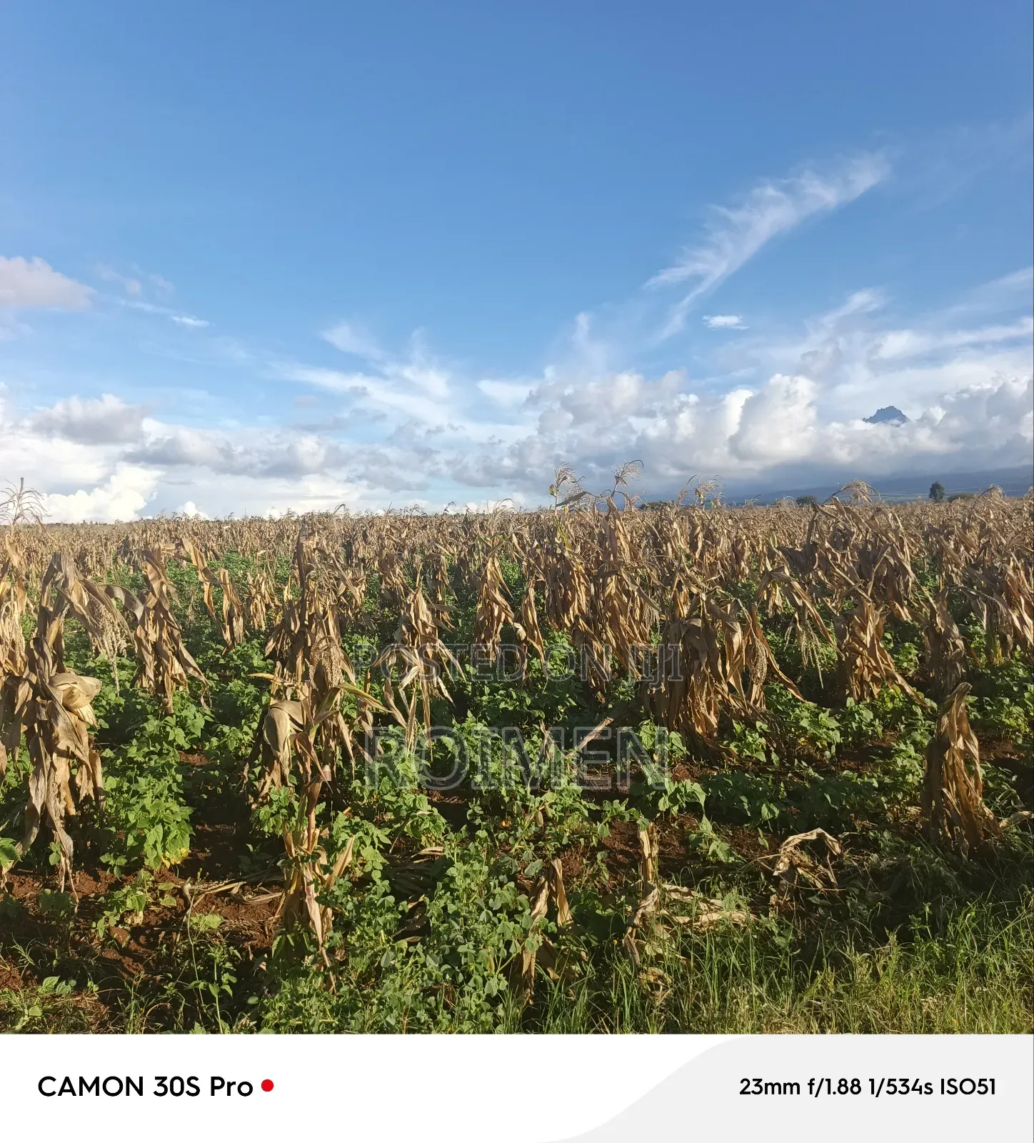 3 Acres of Land Available for Sale