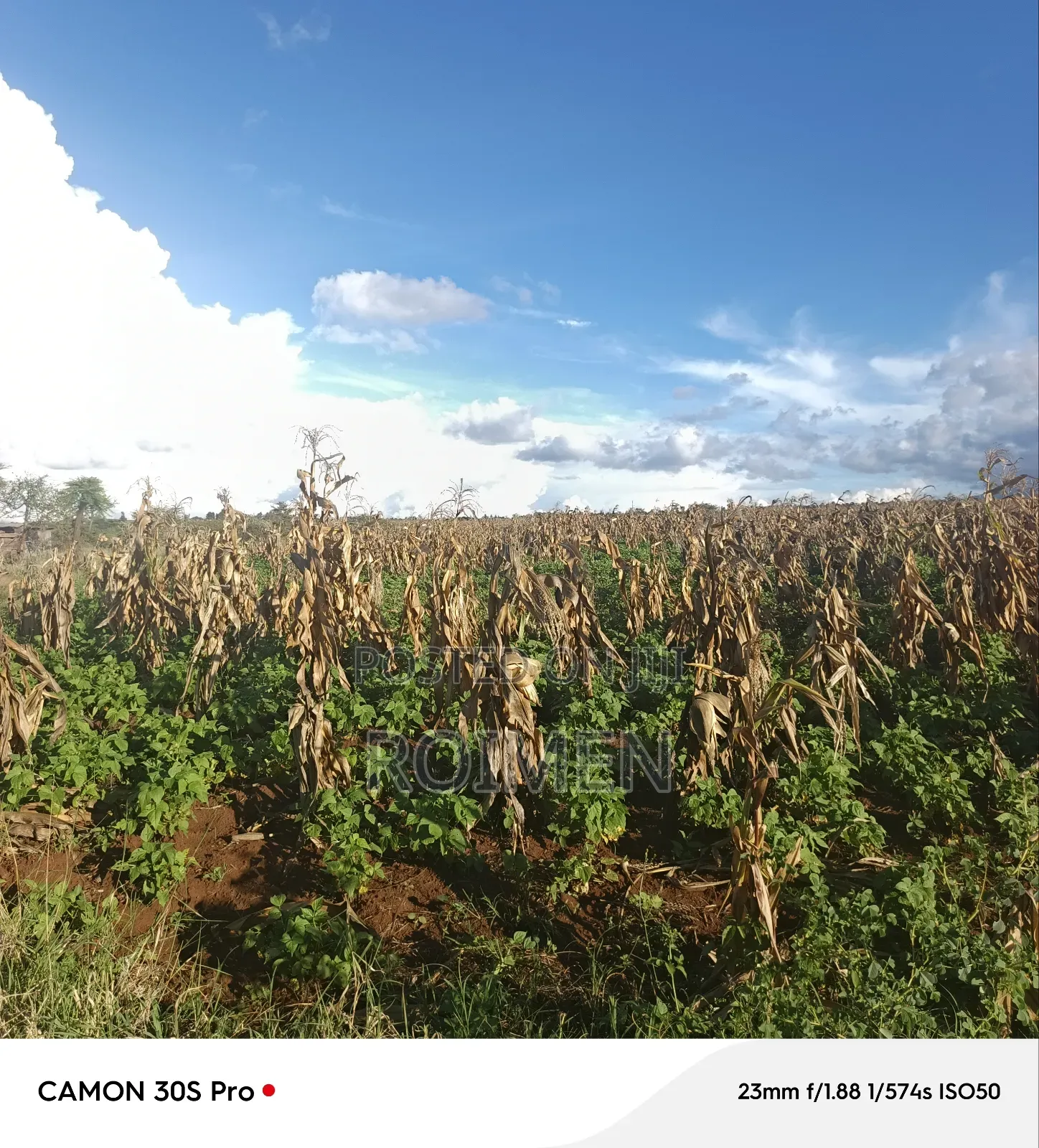 3 Acres of Land Available for Sale