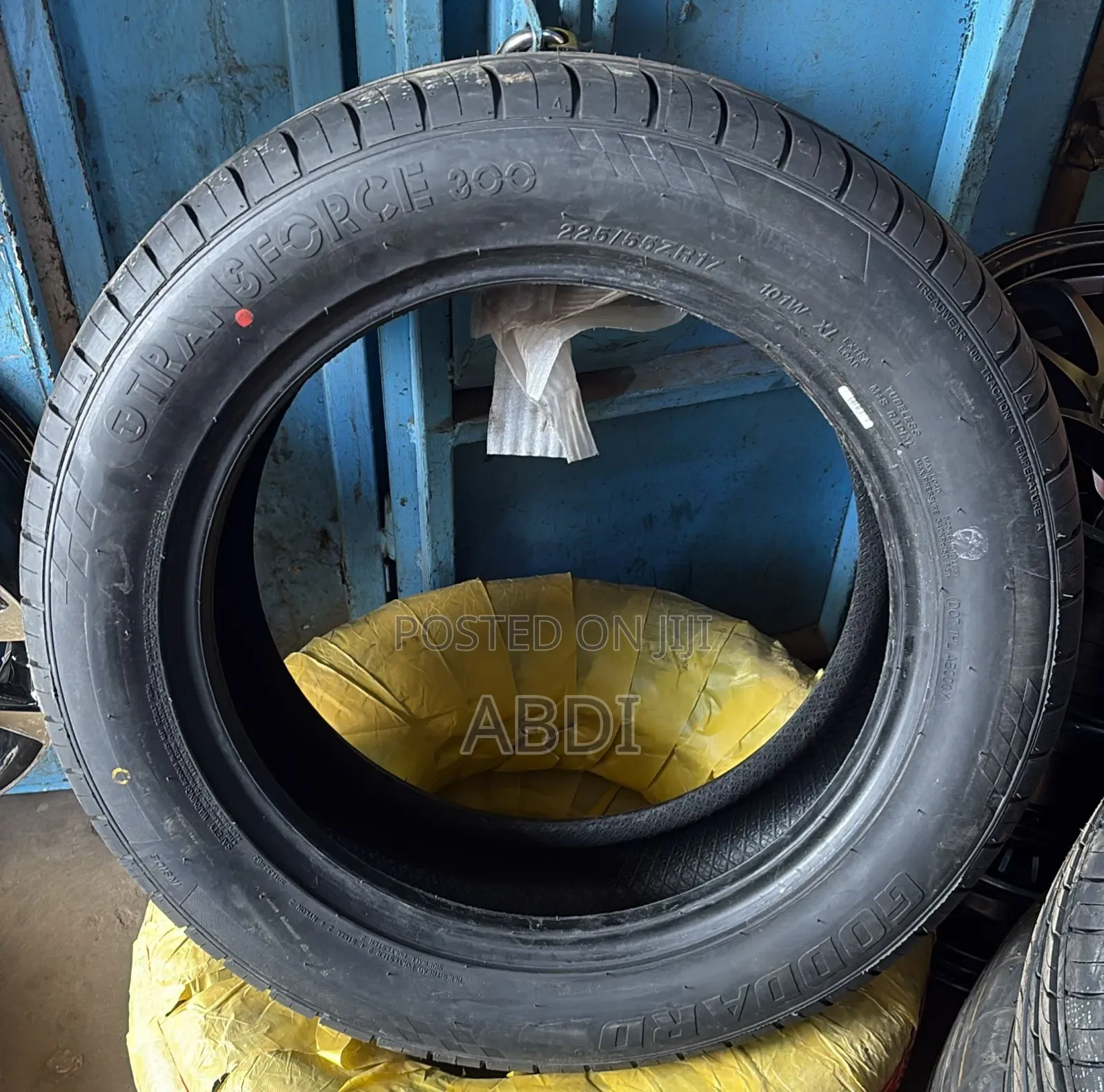 225/55r17 Goddard