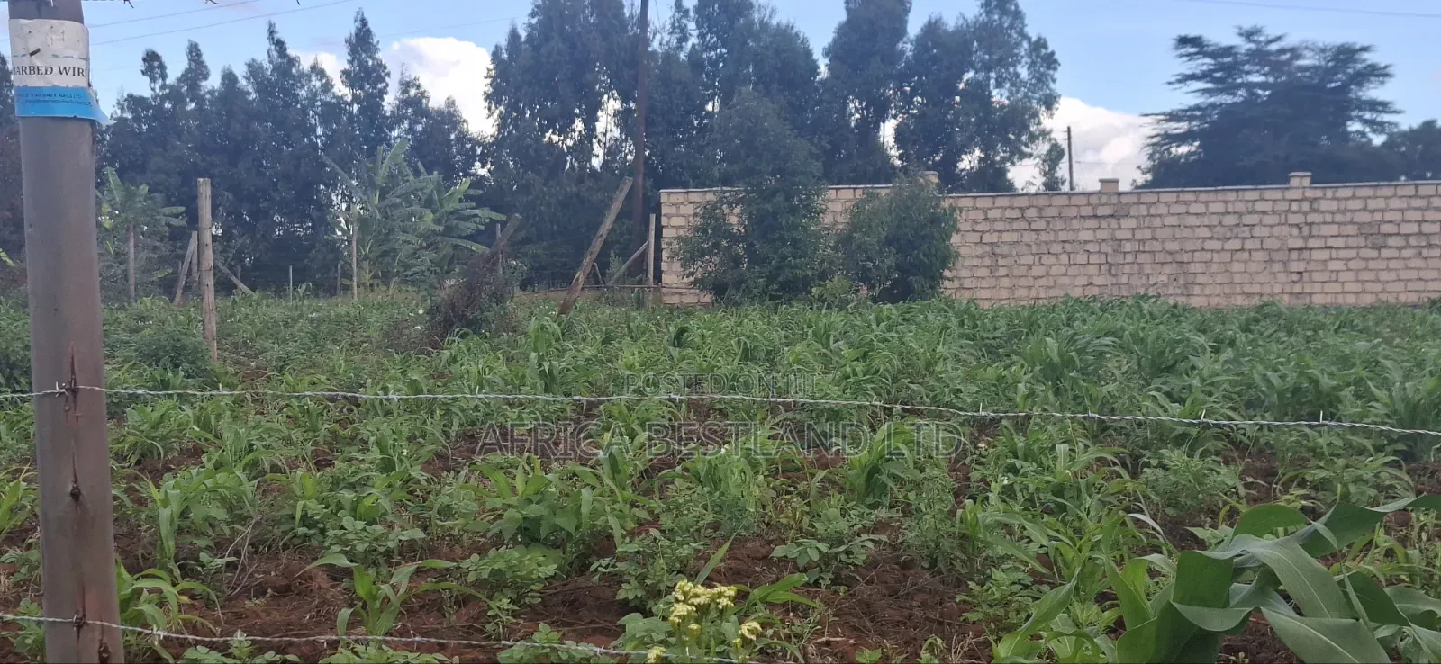 Prime Residential Plots for Sale – Kikuyu Ng’Amba, Kiambu County