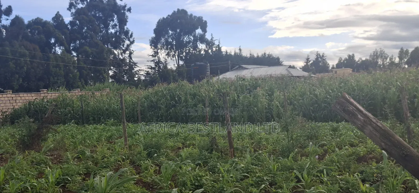 Prime Residential Plots for Sale – Kikuyu Ng’Amba, Kiambu County