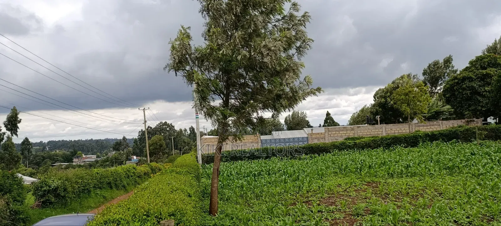 Prime Residential Plots in Kikuyu Sigona Ward Thamanda