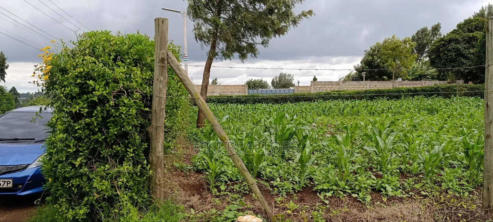 Prime Residential Plots in Kikuyu Sigona Ward Thamanda