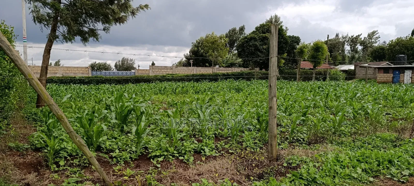 Prime Residential Plots in Kikuyu Sigona Ward Thamanda