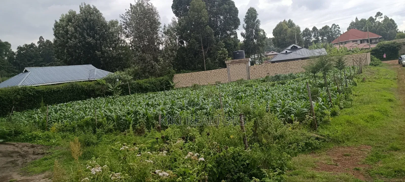 Plots for Sale in Kikuyu Sigona Kerwa