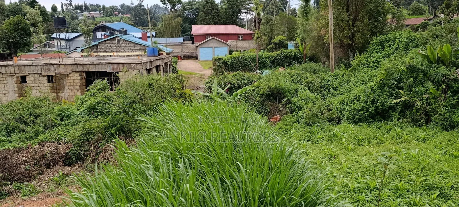 Kikuyu Plots for Sale Sigona(100x100fts)