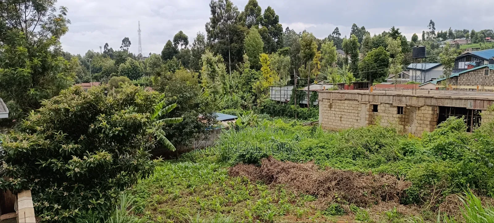 Kikuyu Plots for Sale Sigona(100x100fts)