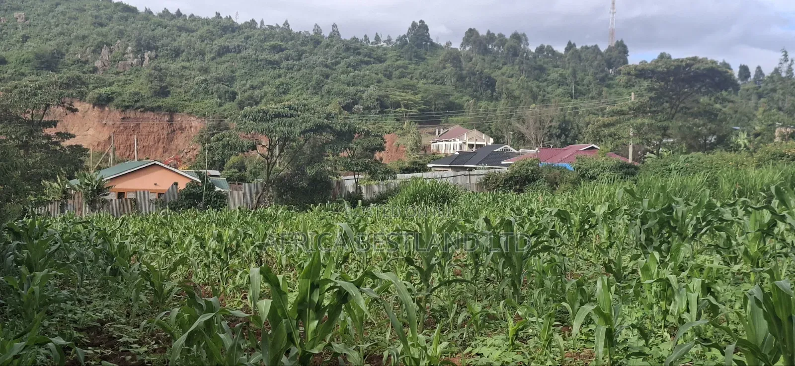 100x100 Plot for Sale – Kikuyu Lusigetti, Kiambu County | KSH 3.8m