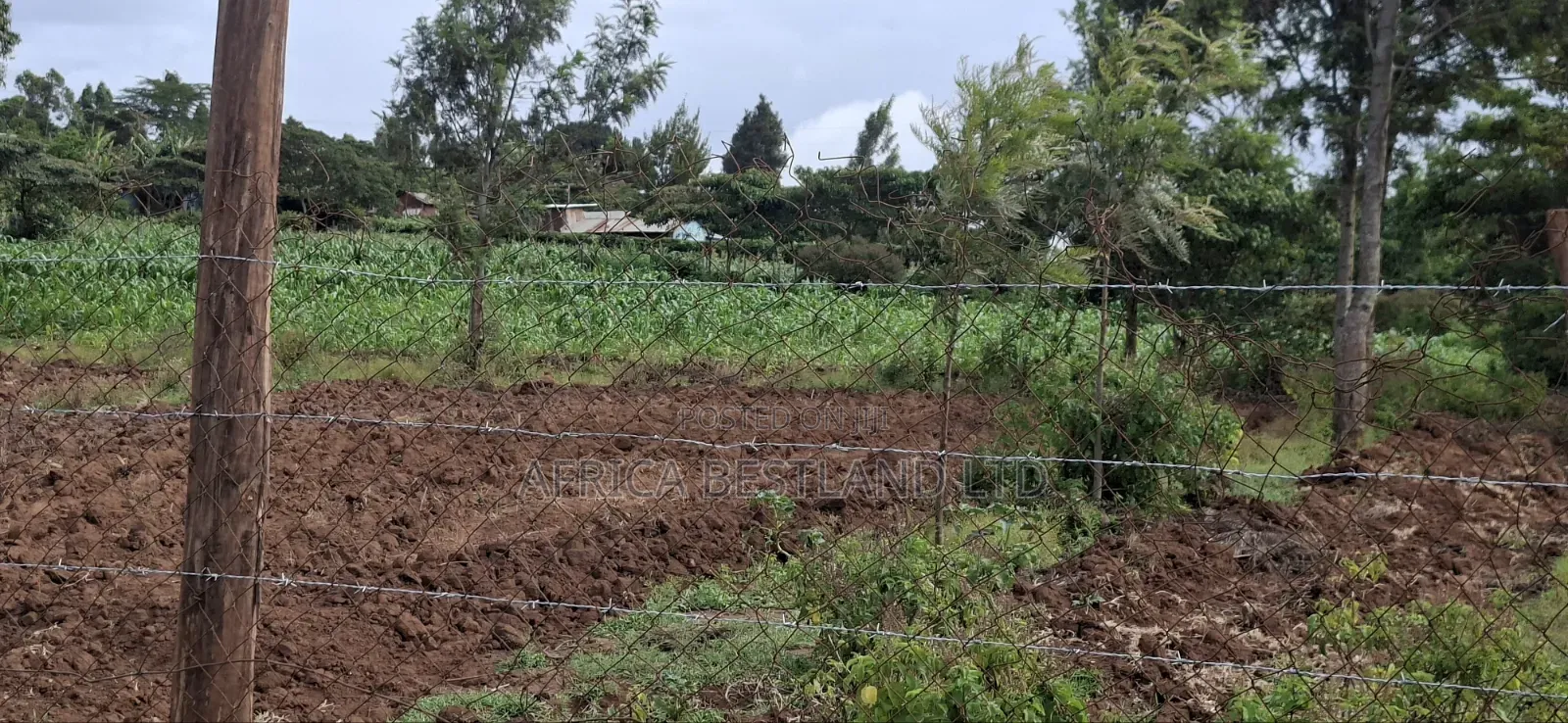 100x100 Plot for Sale – Kikuyu Lusigetti, Kiambu County | KSH 3.8m