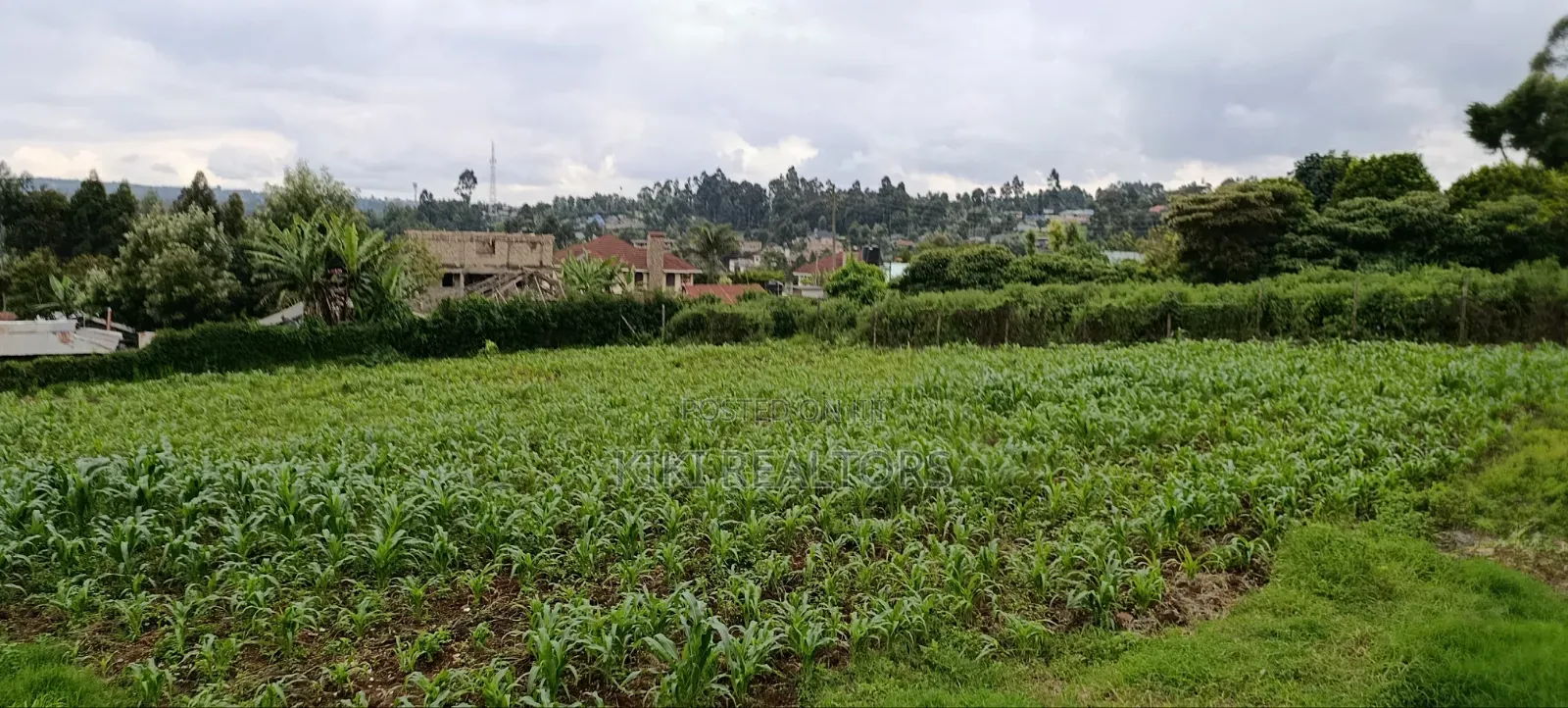 Kikuyu Sigona Prime Plots for Sale