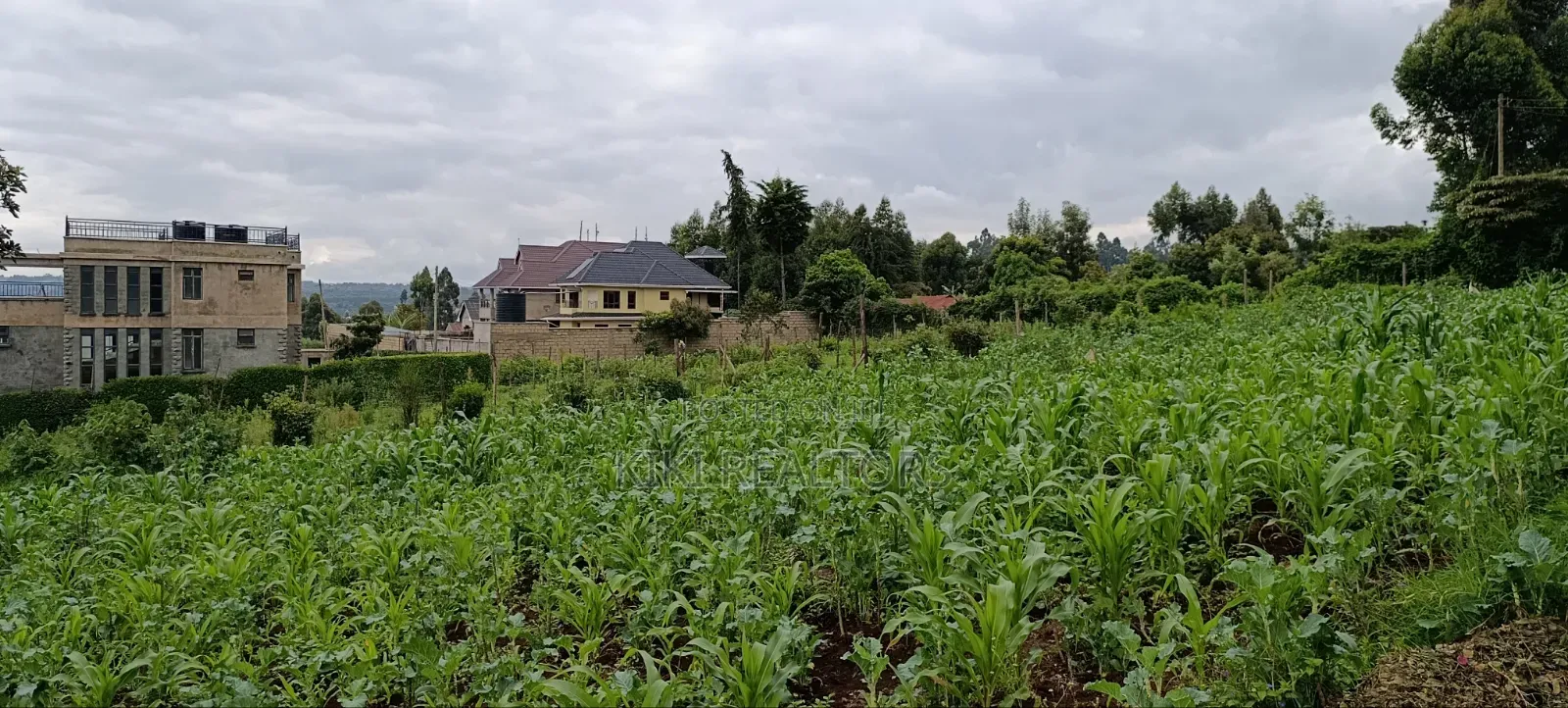 Kikuyu Sigona Prime Plots for Sale